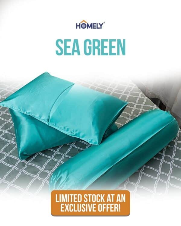 Sea Green Satincase Combo
